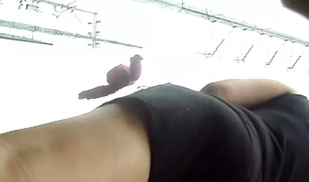 Filled with cum mom sex vintage girl